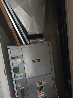 1000009584